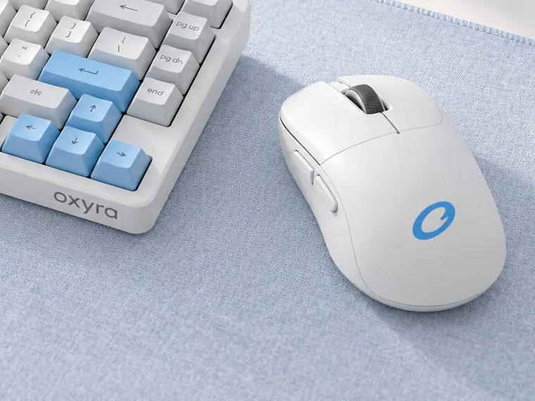 Mouse